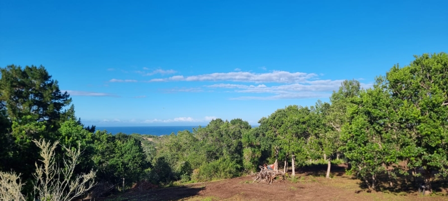 Commercial Property for Sale in Langvlei Dunes Western Cape